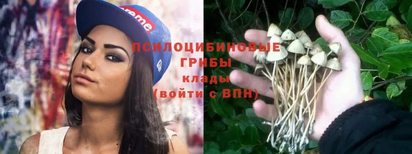 прущая мука Абинск